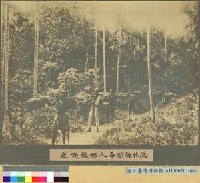 浸水營越蕃人運輸郵件情形藏品圖，第4張